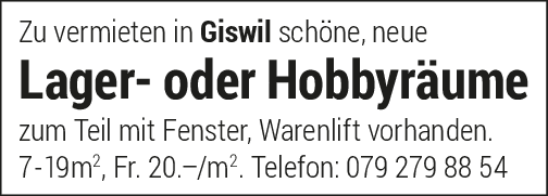 Lager-/Hobbyraum, Giswil