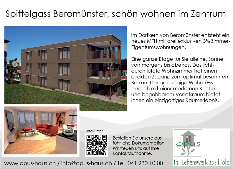 3.5 Zi Wohnungen, Beromünster