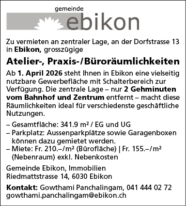 Atelier-, Praxis-/Büroräumlichkeiten, Ebikon