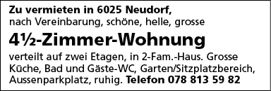 4.5 Zi Wohnung, Neudorf
