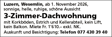 3 Zi Dachwohnung, Luzern