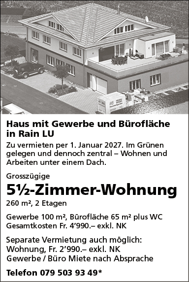Haus mit Gewerbe & Bürofläche, Rain
