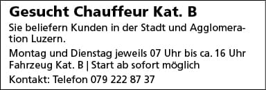 Chauffeur Kat. B