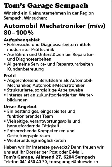 Automobil Mechantroniker 80-100%