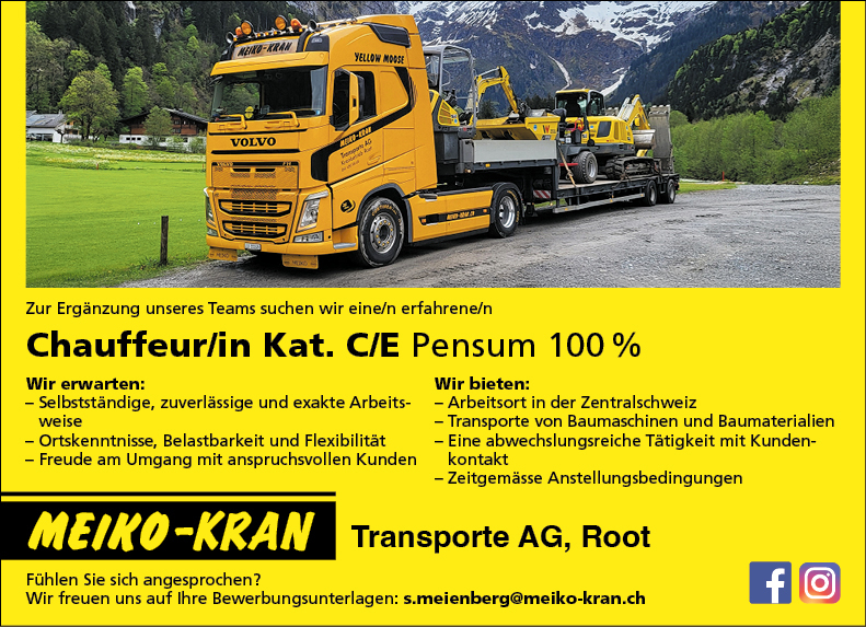 Chaffeur in Kat. C E Schlepper