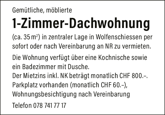 1-Zi-Dachwohnung, Wolfenschiessen