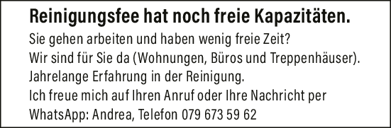 Reinigungsfee
