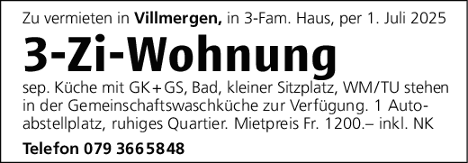 3-Zi-Wohnung, Villmergen