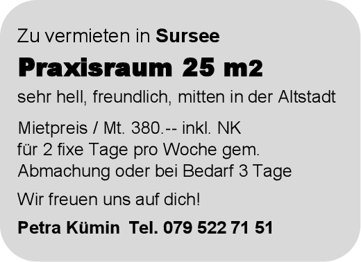 Praxisraum, Sursee